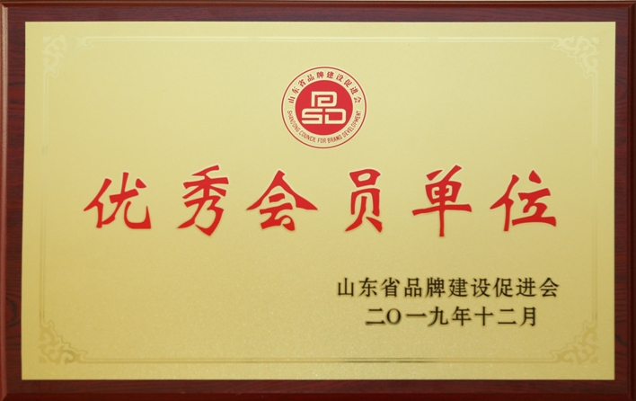 Outstanding Member Organisation for Brand Development